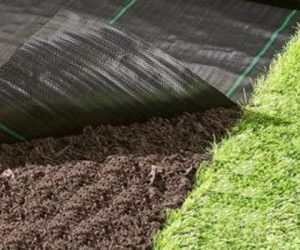 Tiêu chí chọn mua và cách lắp đặt lưới chống cỏ