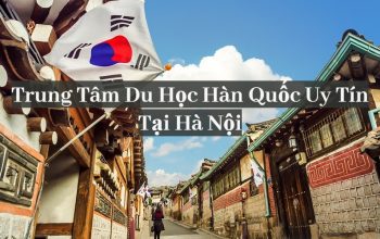 Top 9 Trung Tâm Du Học Hàn Quốc Uy Tín Tại Hà Nội Hiện Nay