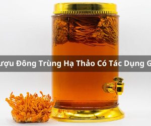 Rượu Đông Trùng Hạ Thảo Có Tác Dụng Gì? Hướng Dẫn Cách Dùng Đúng