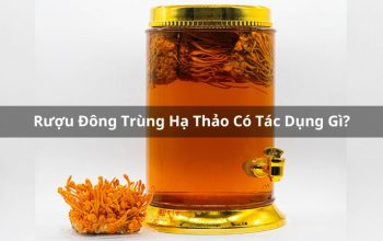 Rượu Đông Trùng Hạ Thảo Có Tác Dụng Gì? Hướng Dẫn Cách Dùng Đúng