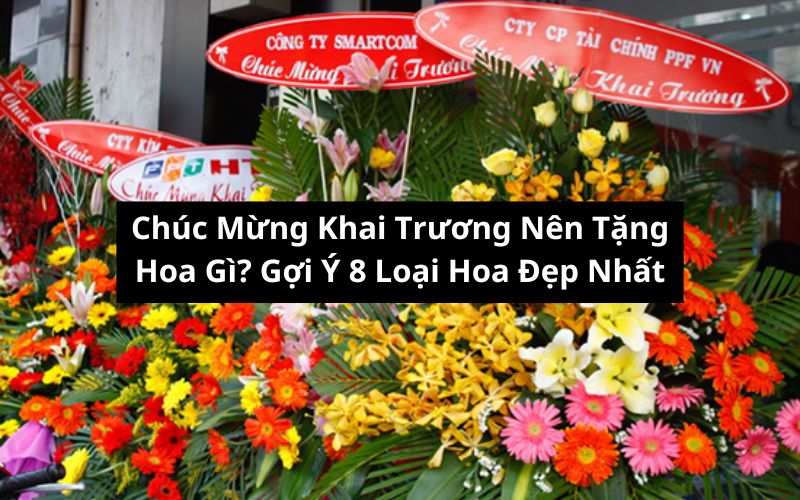 Chúc Mừng Khai Trương Nên Tặng Hoa Gì? Top 8 Hoa Đẹp Nên Mua Nhất