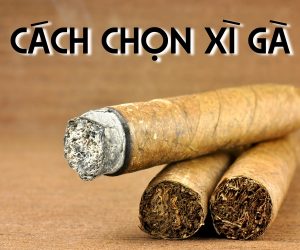 Hướng Dẫn Cách Chọn Xì Gà Đúng Chuẩn Cho Người Mới Bắt Đầu