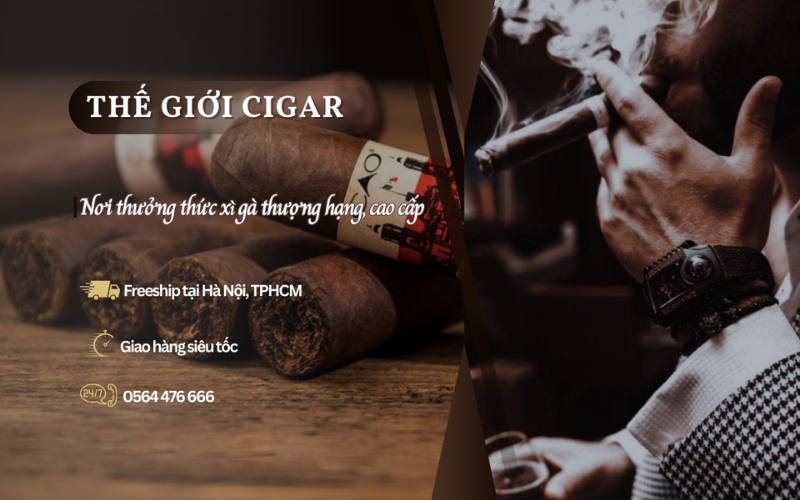 Cửa hàng bán xì gà chính hãng Thế Giới Cigar