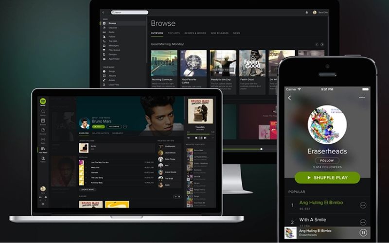 so sánh deezer và spotify về khả năng kết nối thông minh