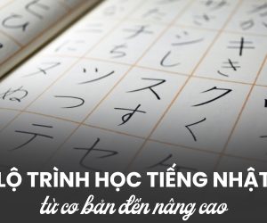 Lộ Trình Học Tiếng Nhật Hiệu Quả Từ Con Số 0 Đến Thành Thạo