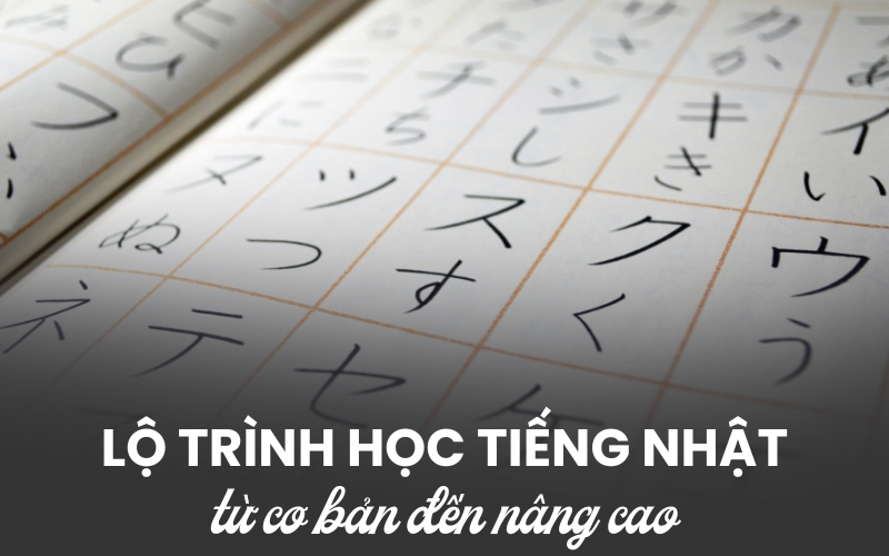 Lộ Trình Học Tiếng Nhật Hiệu Quả Từ Con Số 0 Đến Thành Thạo
