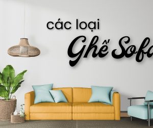 Các Loại Ghế Sofa Thông Dụng Nhất Tại Thị Trường Việt Nam