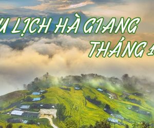 Hướng Dẫn Du Lịch Hà Giang Tháng 12 Tự Túc Chi Tiết Nhất Cho Người Mới