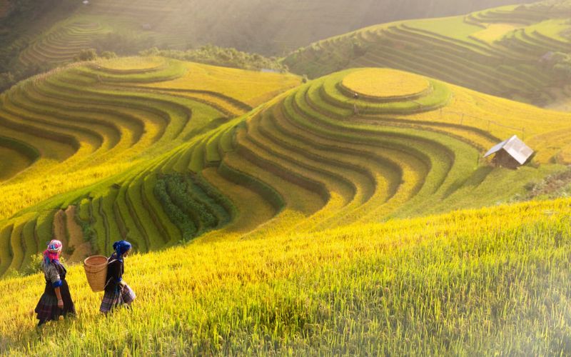 lý do nên du lịch Hà Giang tháng 12