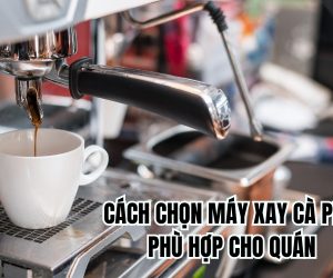 Hướng Dẫn Cách Chọn Máy Xay Cà Phê Phù Hợp Cho Quán