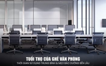 Tuổi Thọ Của Ghế Văn Phòng Là Bao Lâu? Hướng Dẫn Bảo Dưỡng Ghế Bền Bỉ