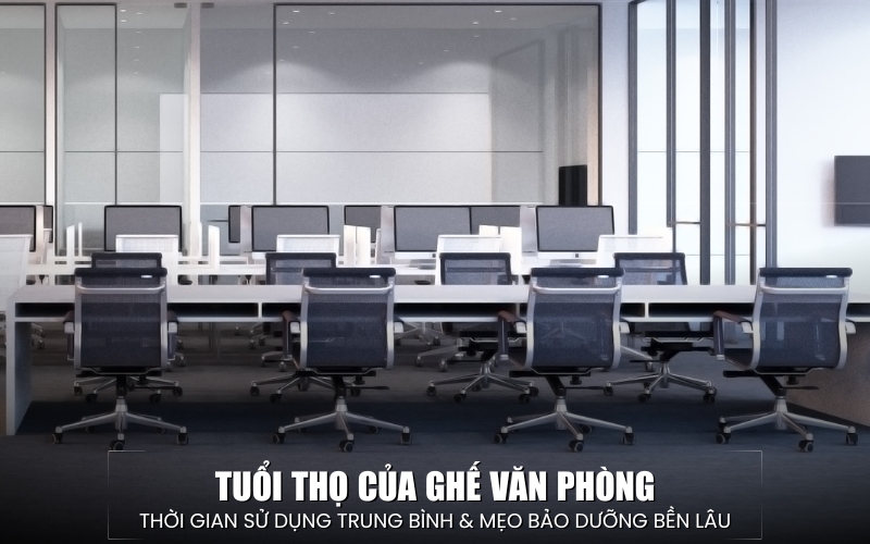 Tuổi Thọ Của Ghế Văn Phòng Là Bao Lâu? Hướng Dẫn Bảo Dưỡng Ghế Bền Bỉ